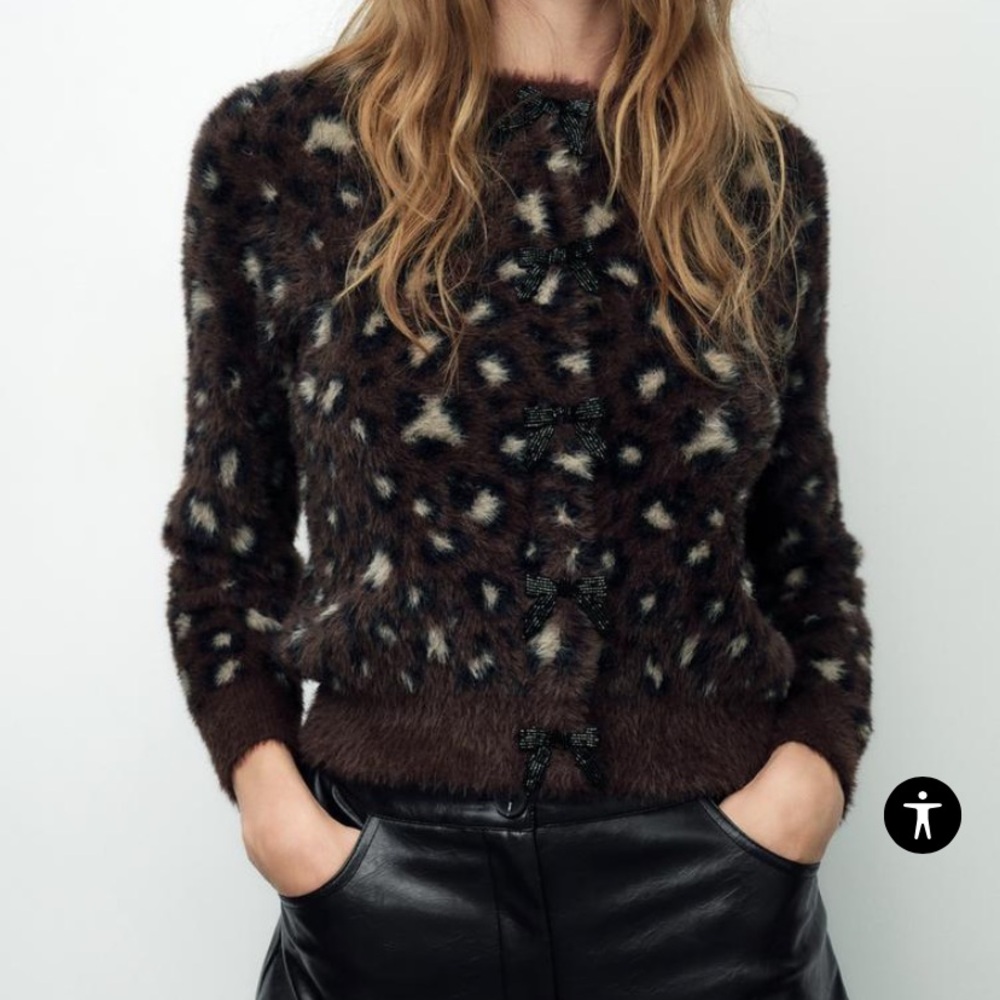 Zara sweater nwt